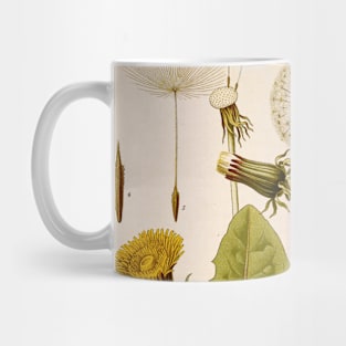 Dandelion Flower Growth Phases Mug